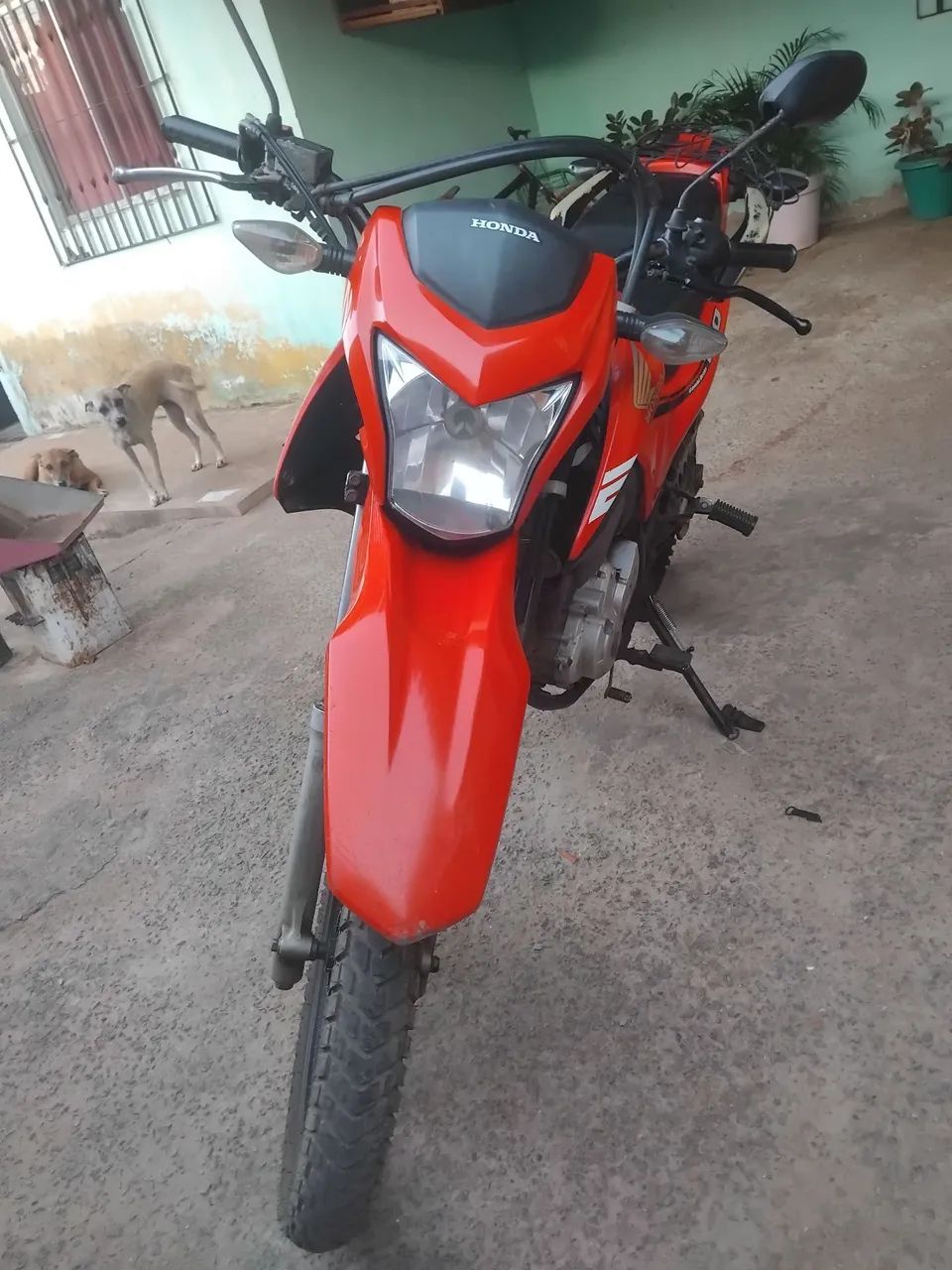 MOTO BROZ  - Foto 2