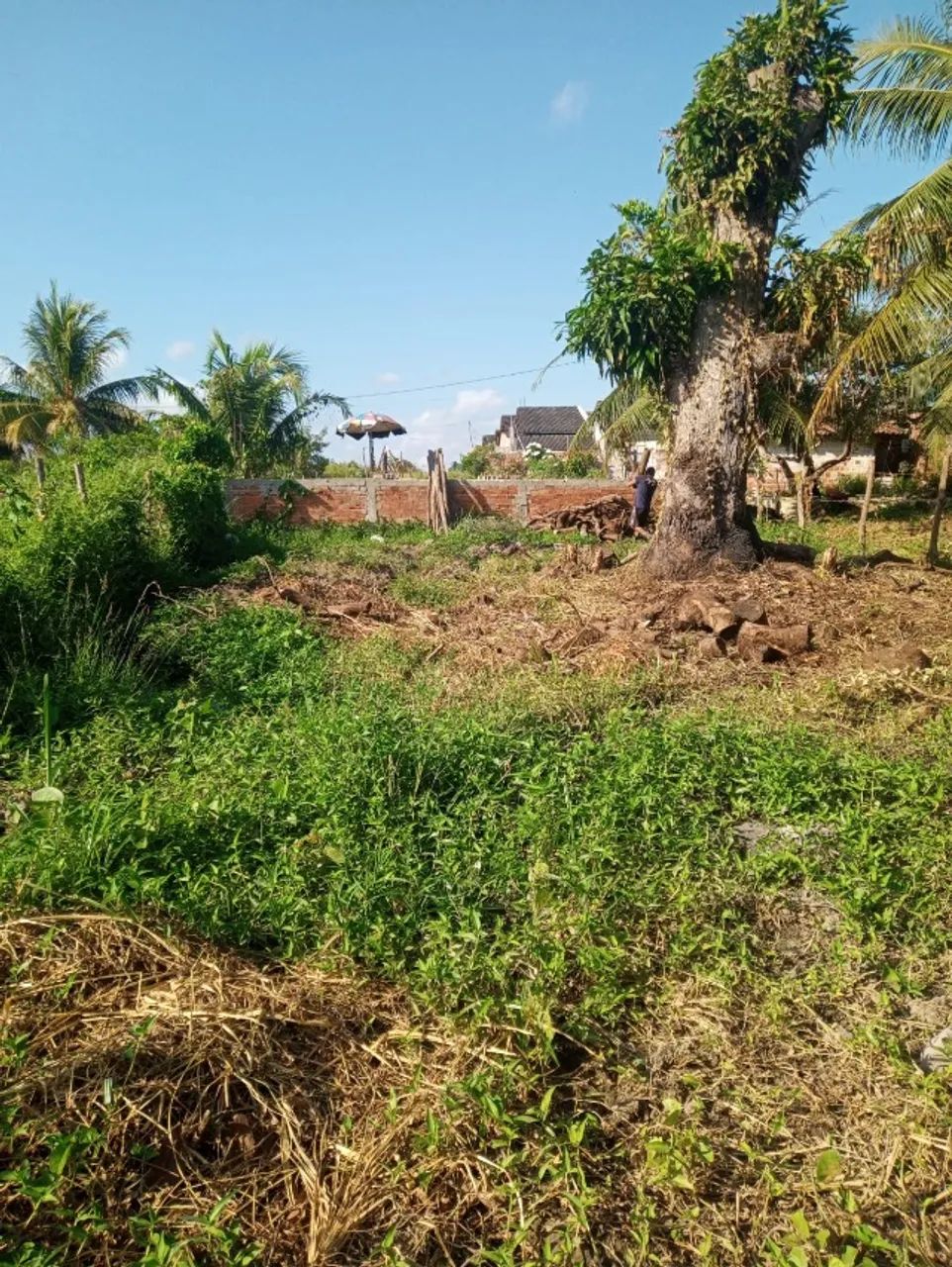 Terreno a venda  - Foto 3