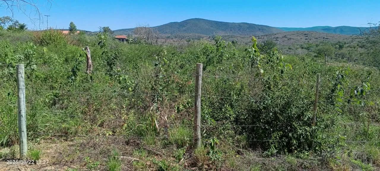 Vendo terreno nas queimadas, loteamento de Amilton  - Foto 2