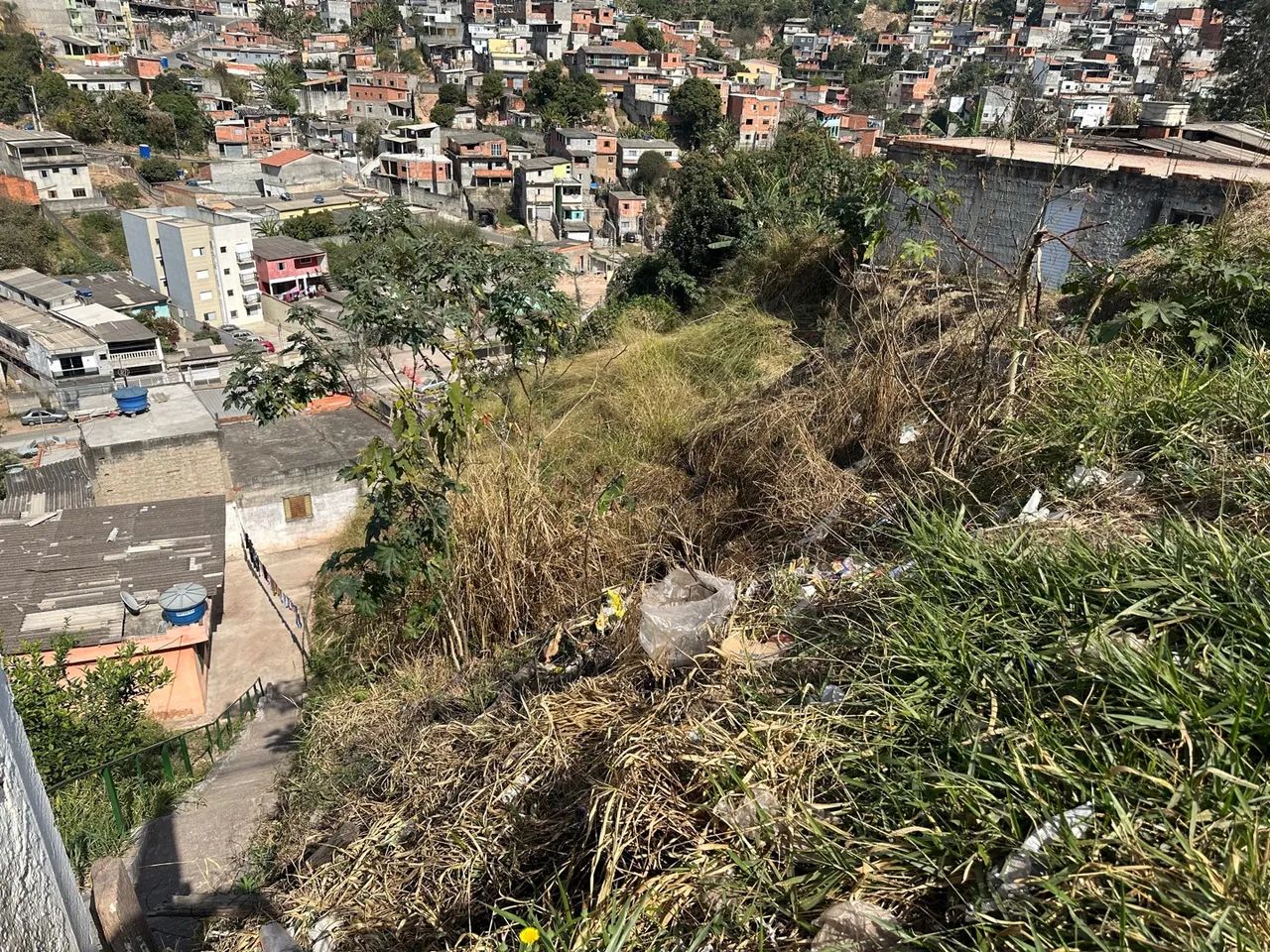 Foto - Francisco Morato - Jardim Olga
