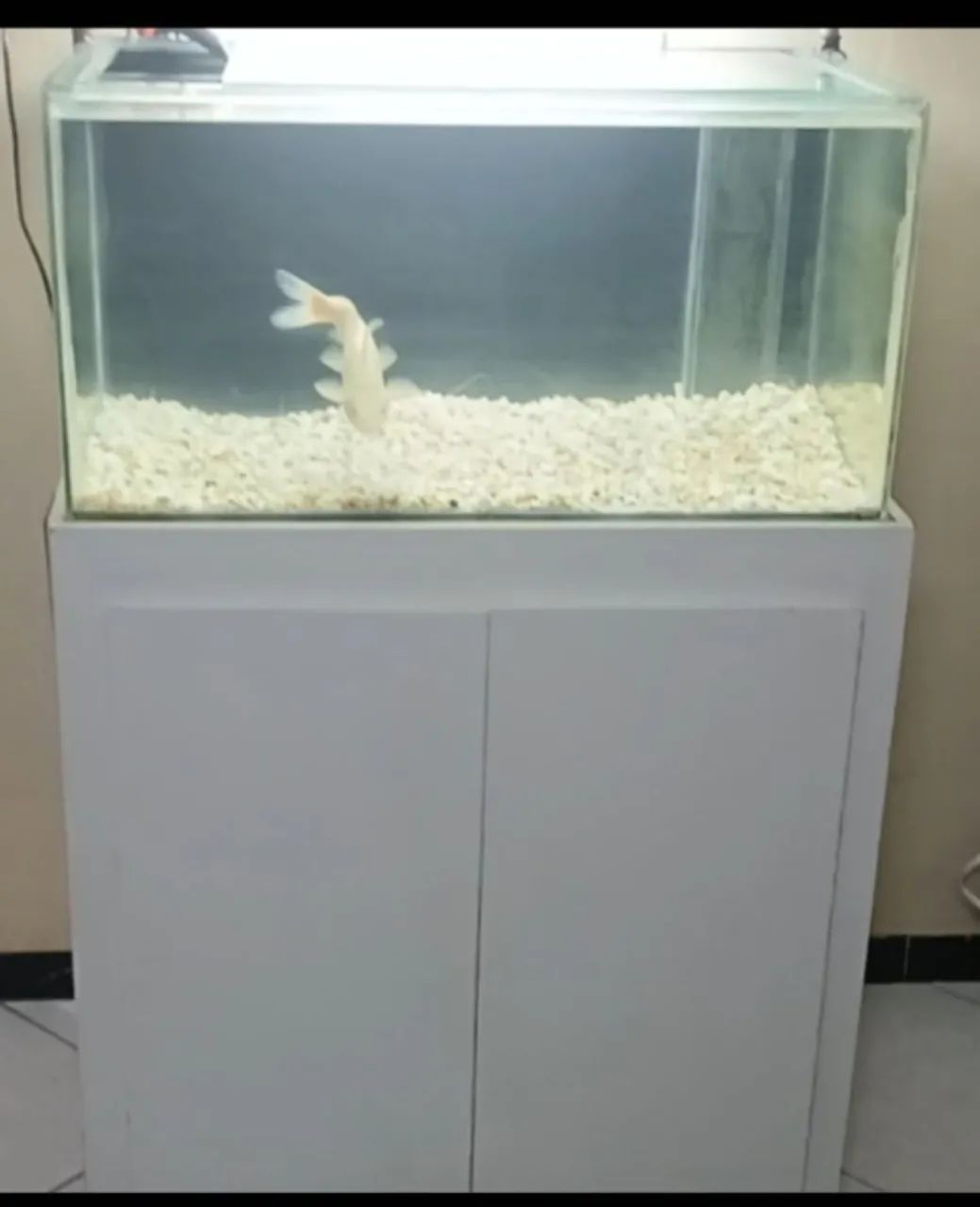 Aquário com sump - Foto 3