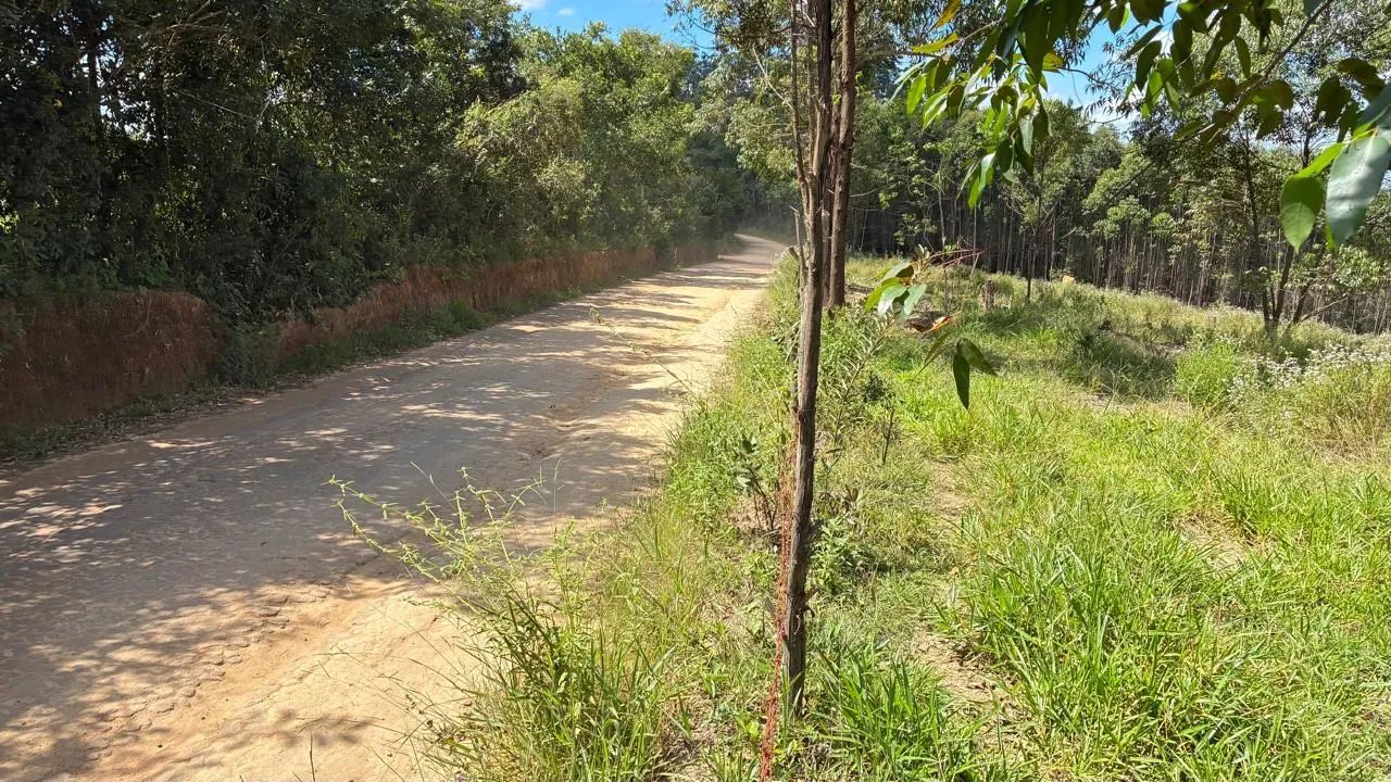 SEM ENTRADA - Foto 2
