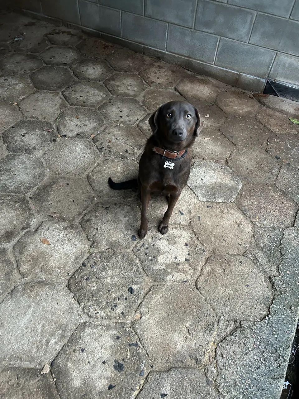 Lua - Foto 2