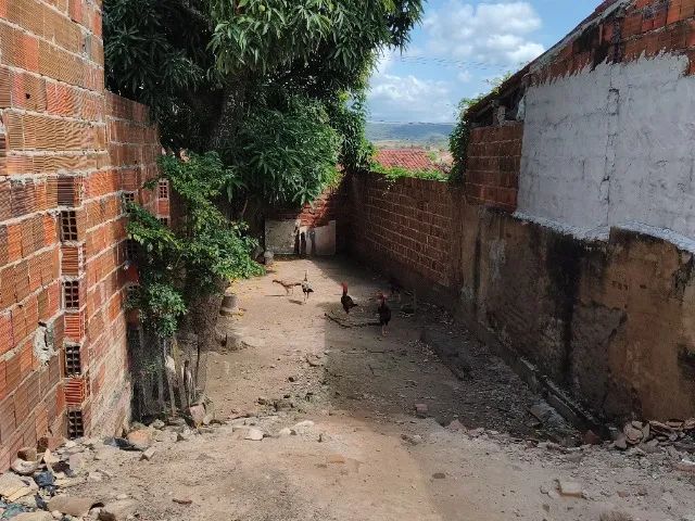 Terreno  - Foto 3