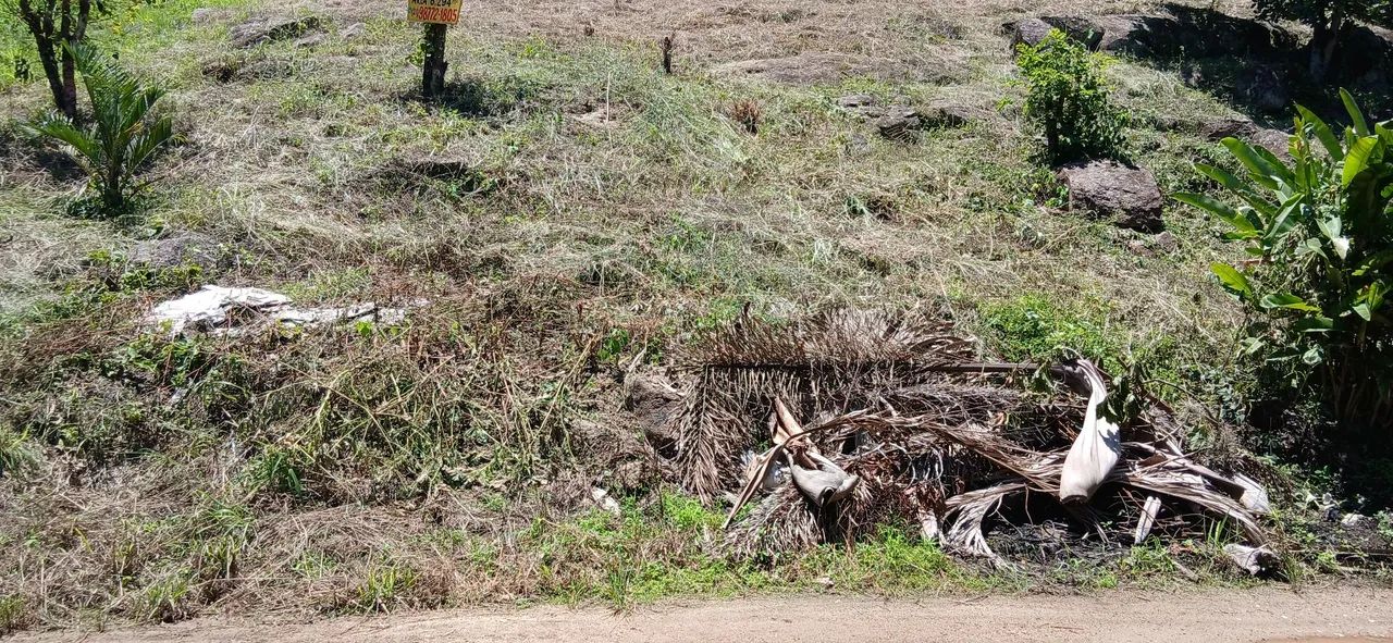 Foto - Rio de Janeiro - Guaratiba