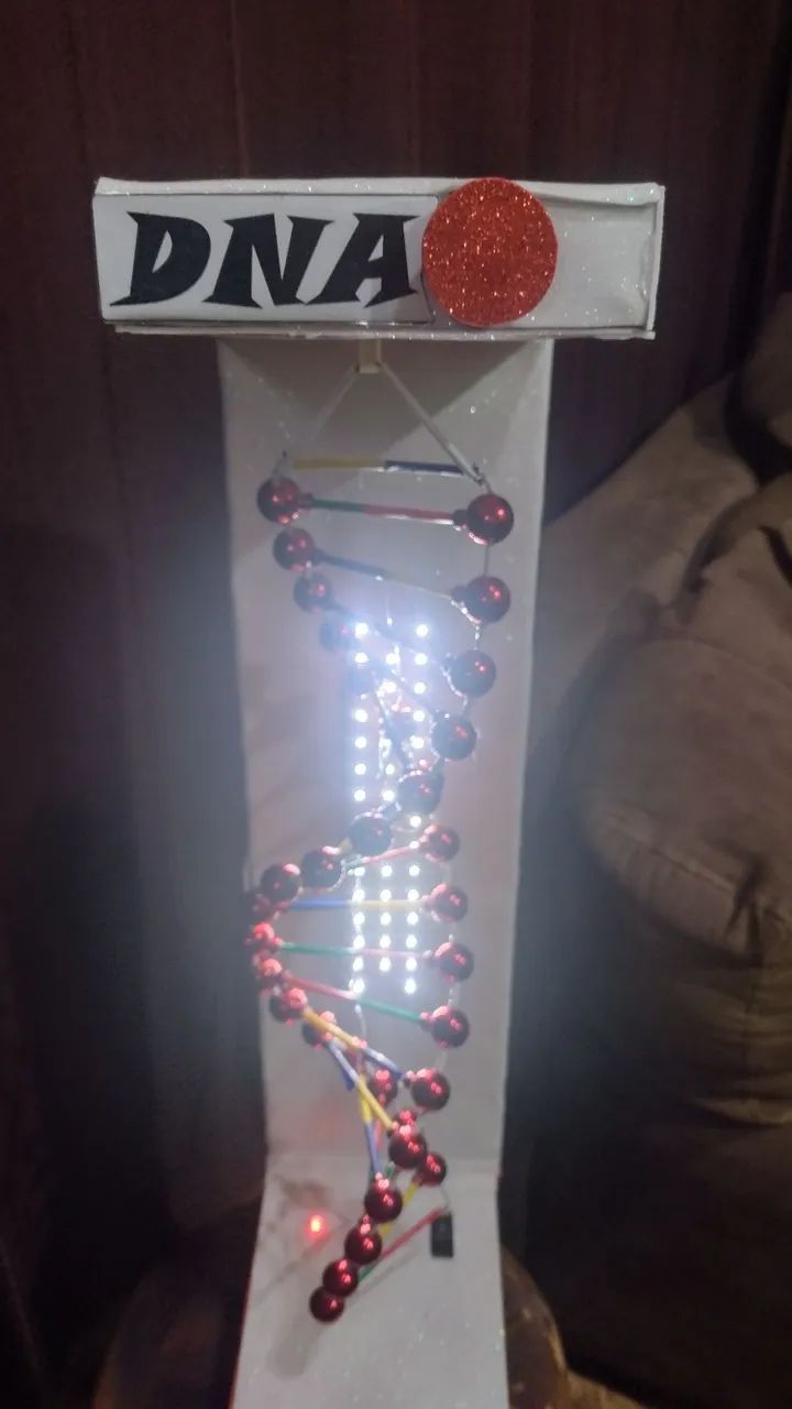Maquete de DNA  - Foto 4