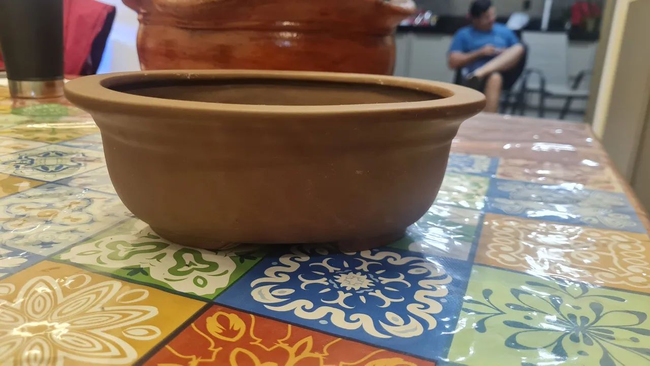 Vasos de Bonsai
