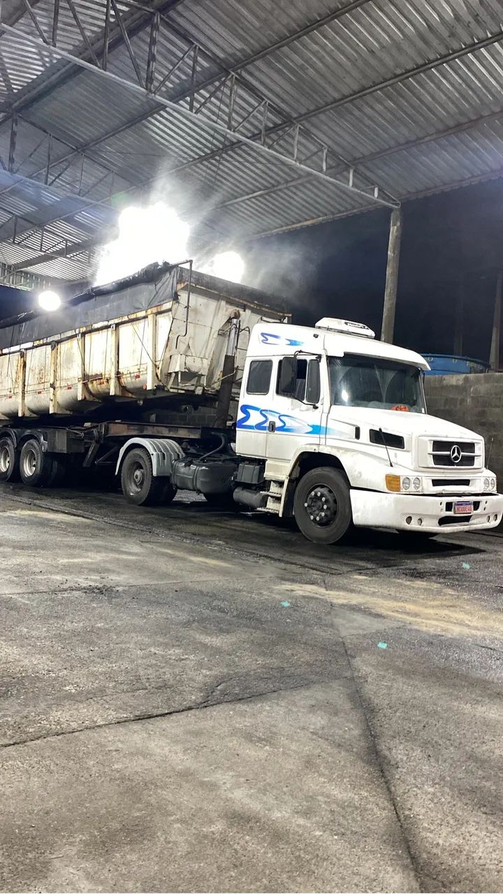 Vendo cavalo ano 2000 com carreta 2010  - Foto 4