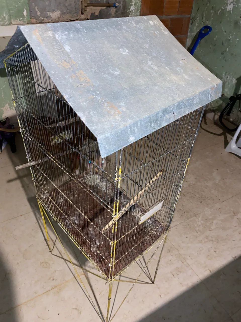 Gaiola para pássaros  - Foto 4