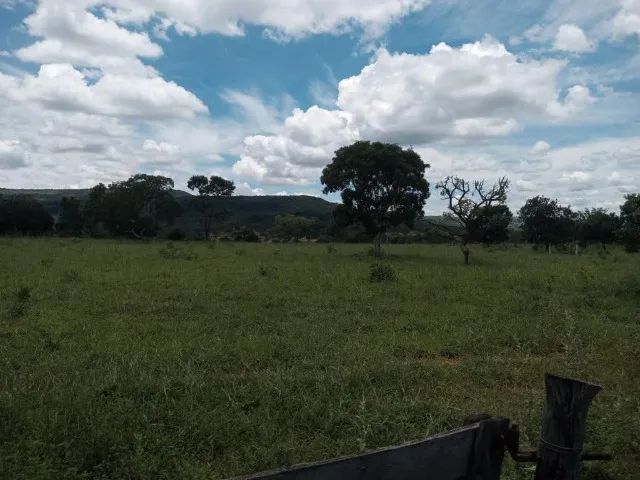 Propriedade à venda! - Foto 2