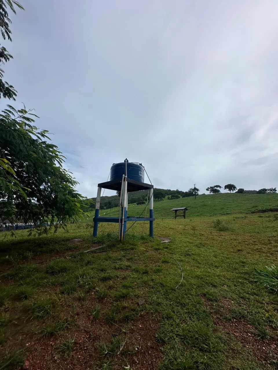 Fazenda Faina-go - Foto 5