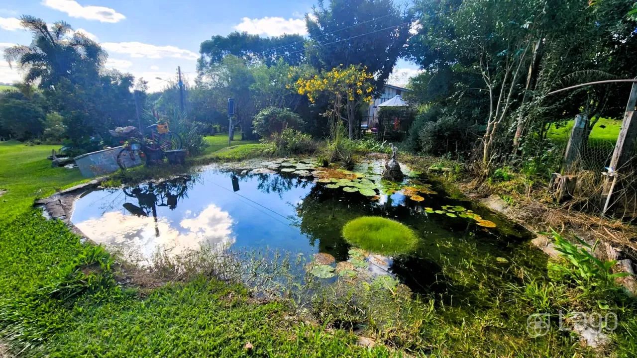 Área Carambeí - Foto 5