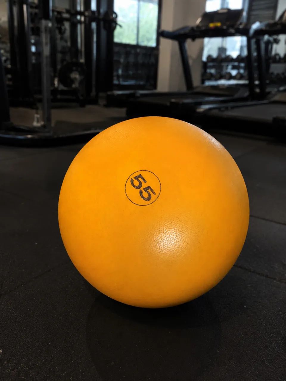 Bola para ginástica/ pilates 