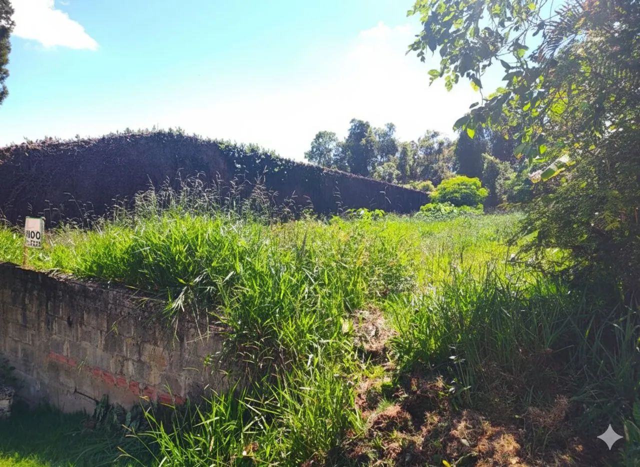 Lote / Terreno - Grama - Foto 5
