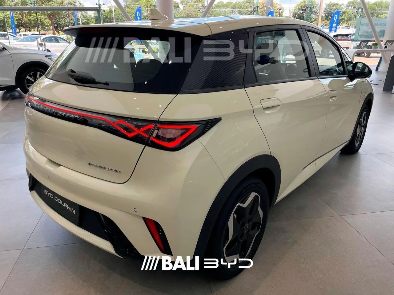 BYD Dolphin GS (Elétrico) 2027 - Foto 4