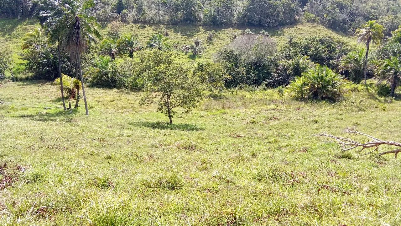 Vende-se terreno  - Foto 3