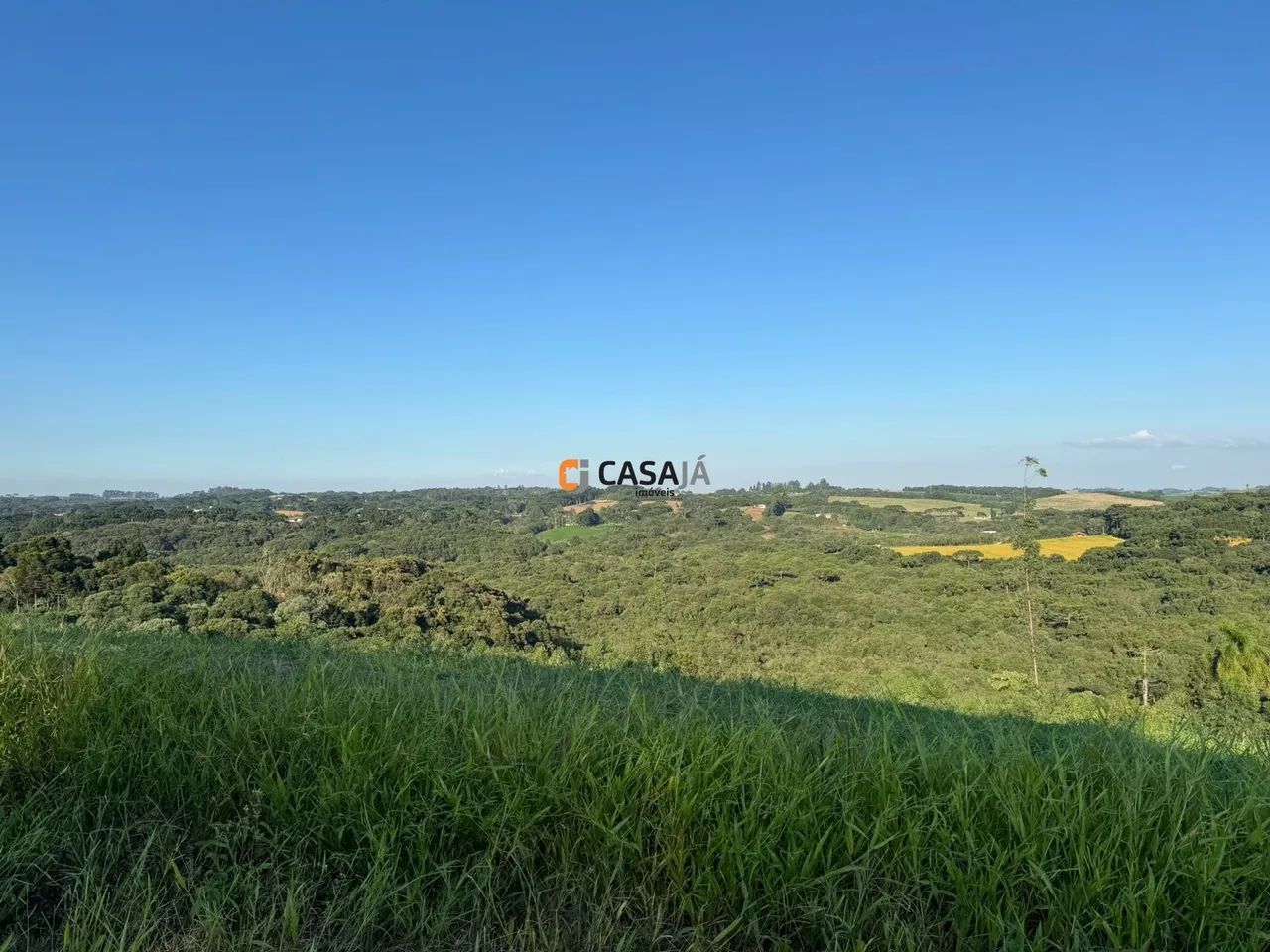 CHACARA RURAL em BALSA NOVA - PR, Rodeio Santo Antonio - Foto 4