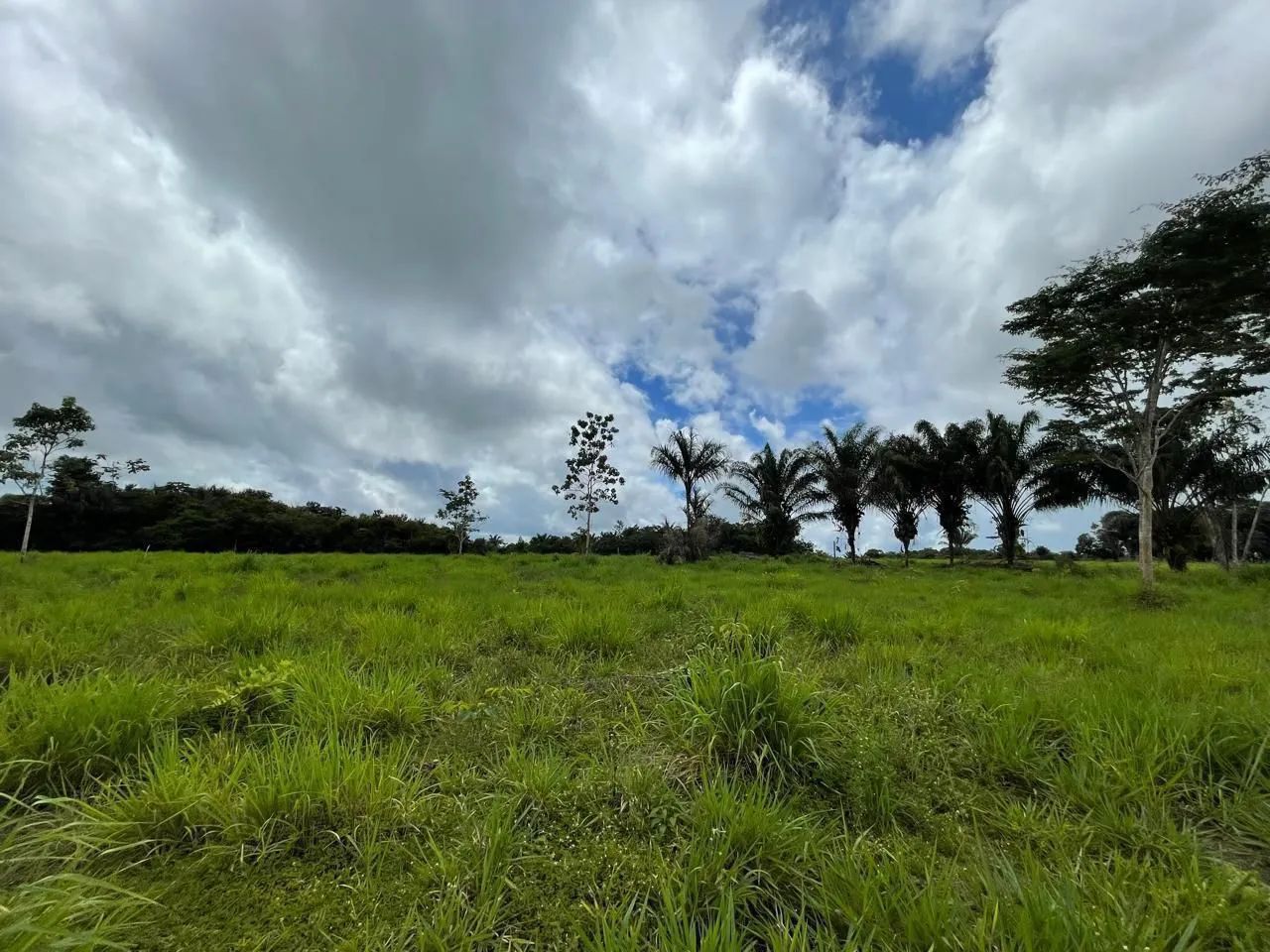Fazenda com 647 ha - Foto 3