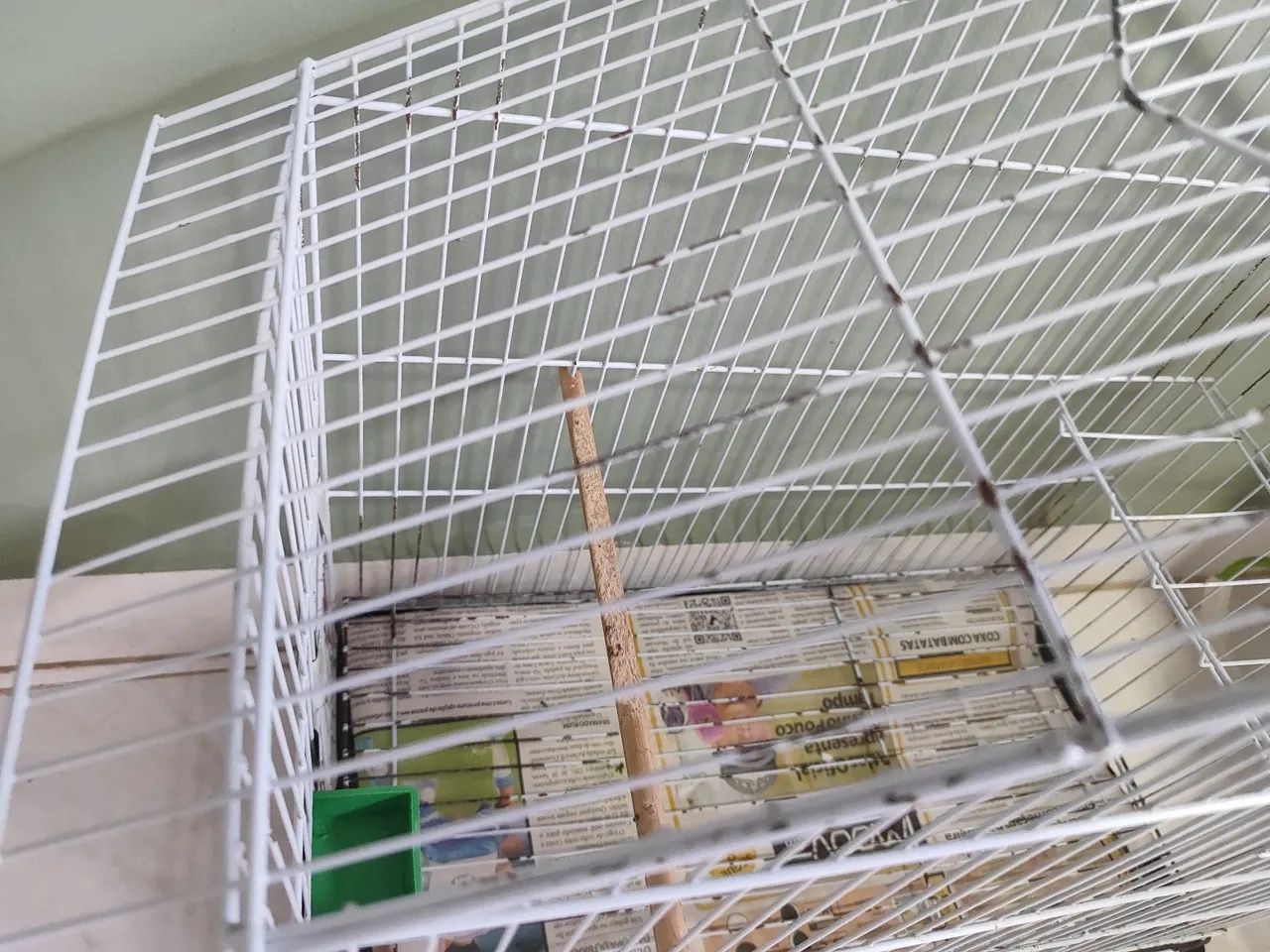 Gaiola pequenas aves - Foto 3