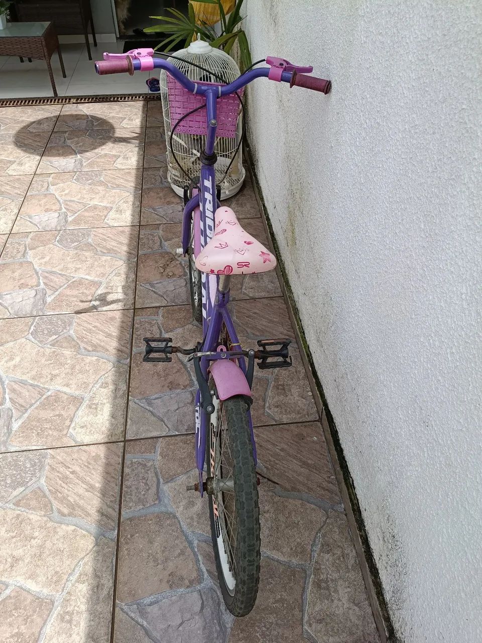 Bicicleta Aro 20 Menina - Foto 3