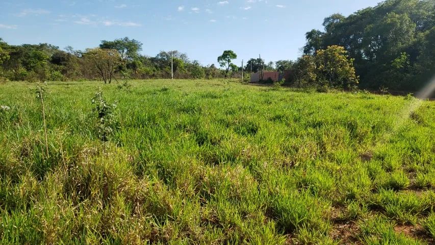 Terreno Vale do Igapó com matrícula e regularizado 300m2 - Foto 3