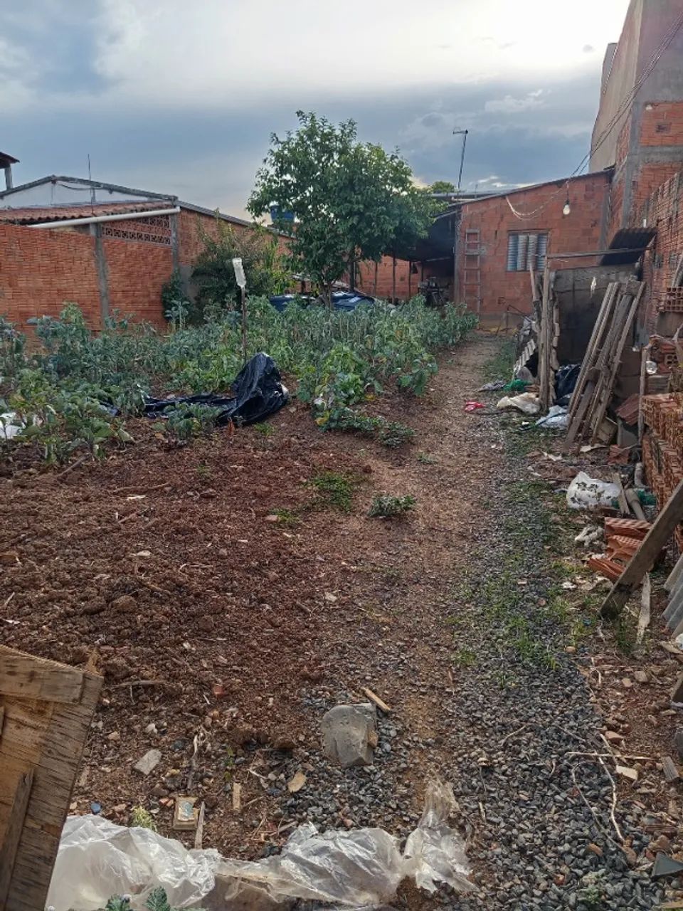 Lote com barracão  - Foto 4