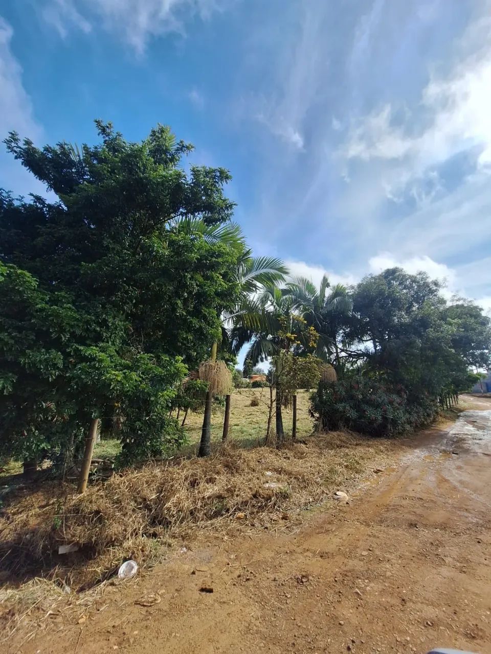 terreno varinhas - Foto 3