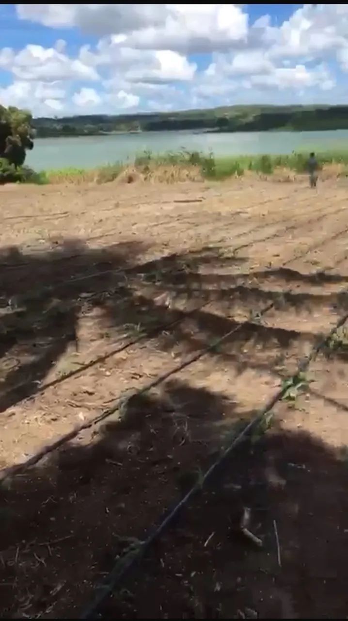 Sítio 2 hectares na barragem  - Foto 4