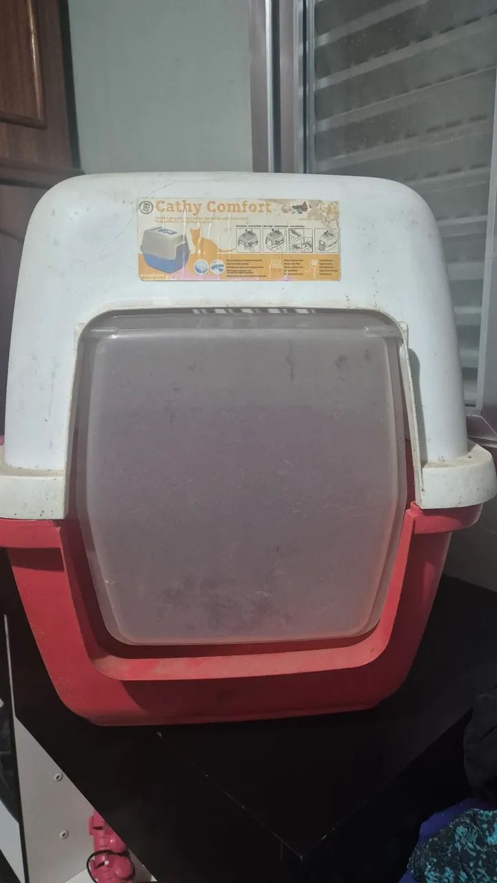 Banheiro de gato