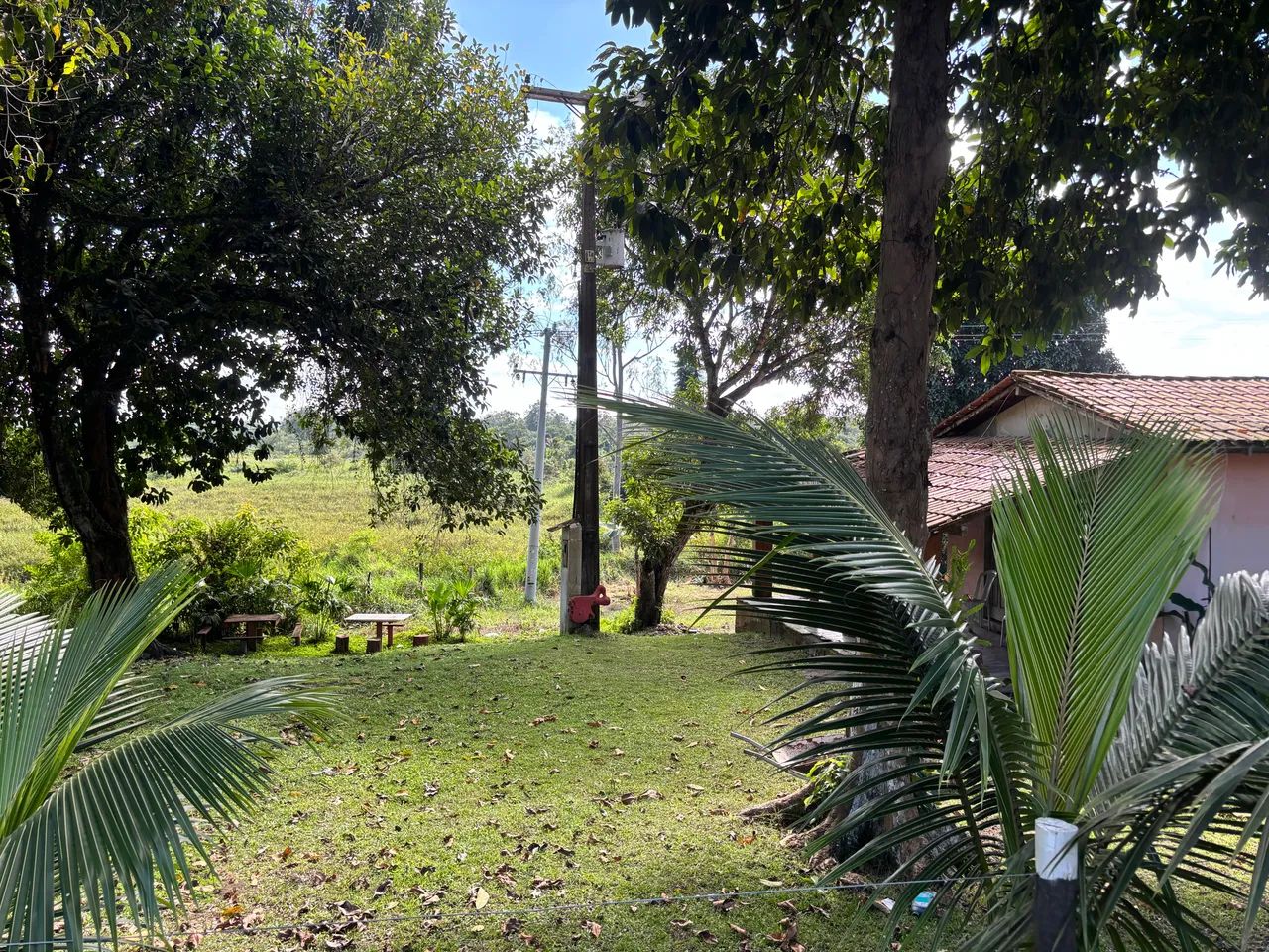 Venda se 12 hectares de terra  - Foto 3
