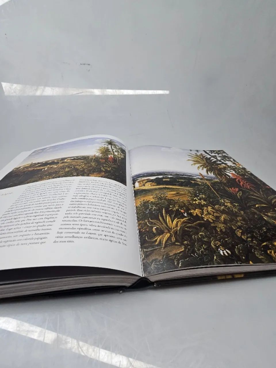 Livro Grande Frans Post Obra Completa - Foto 3