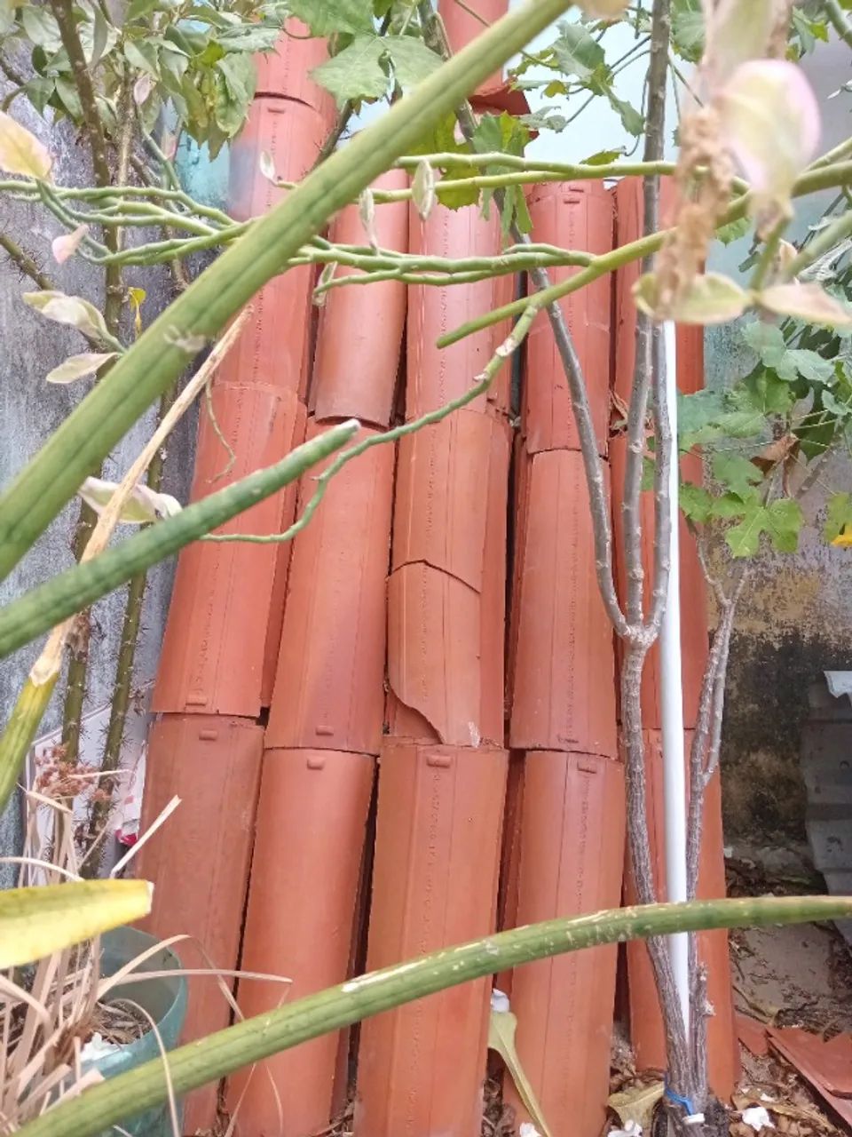 Telhas de barro
