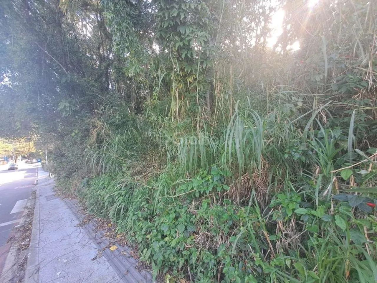 Terreno para Venda em Florianópolis, Canto da Lagoa - Foto 4