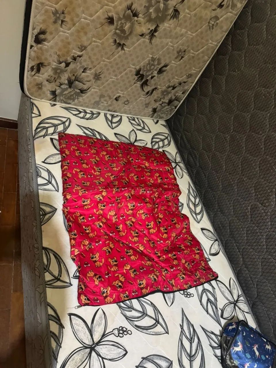 caminha pet - Foto 5