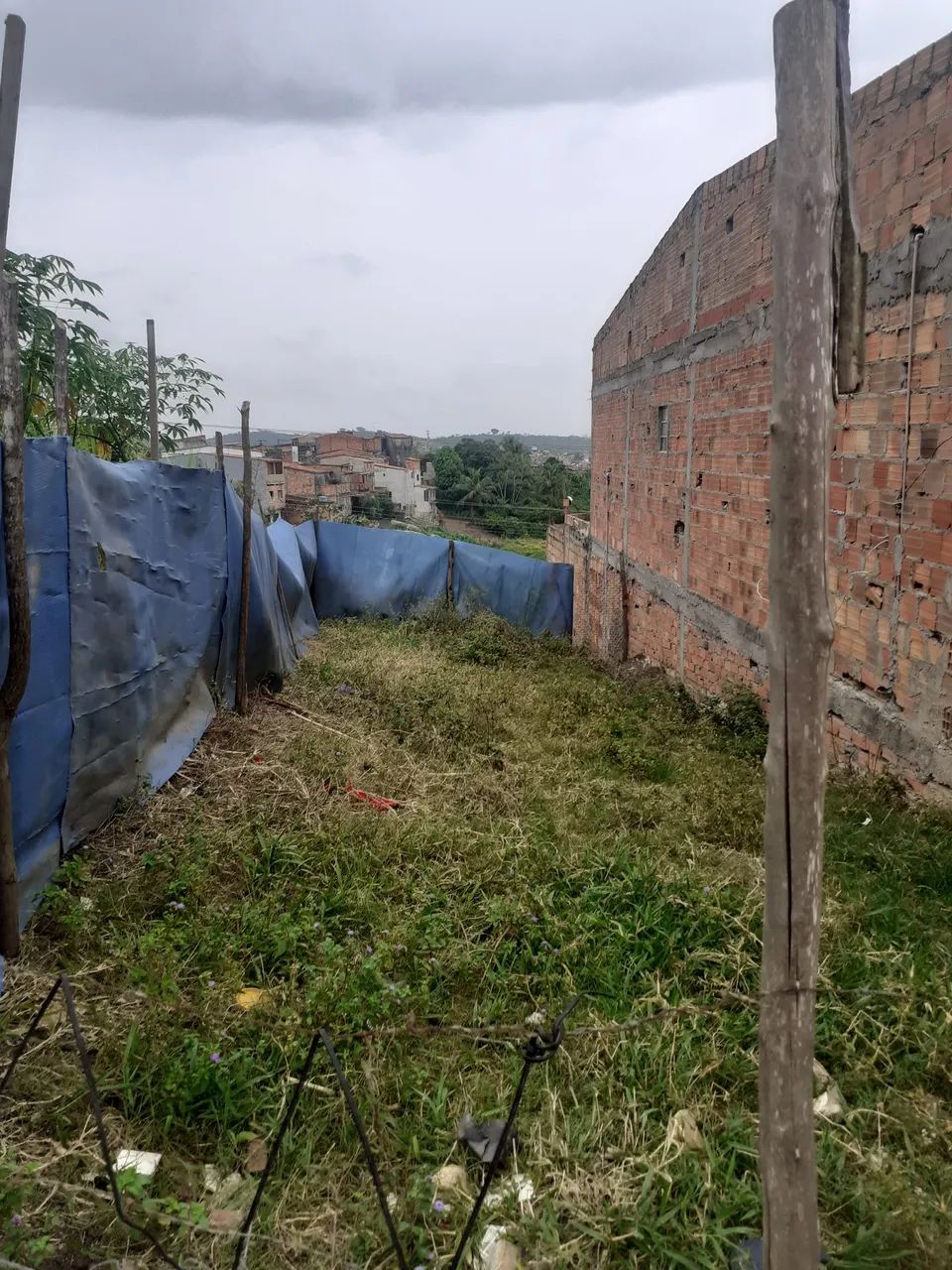 Foto - Santo Amaro - 