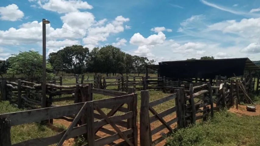 Propriedade à venda! - Foto 4