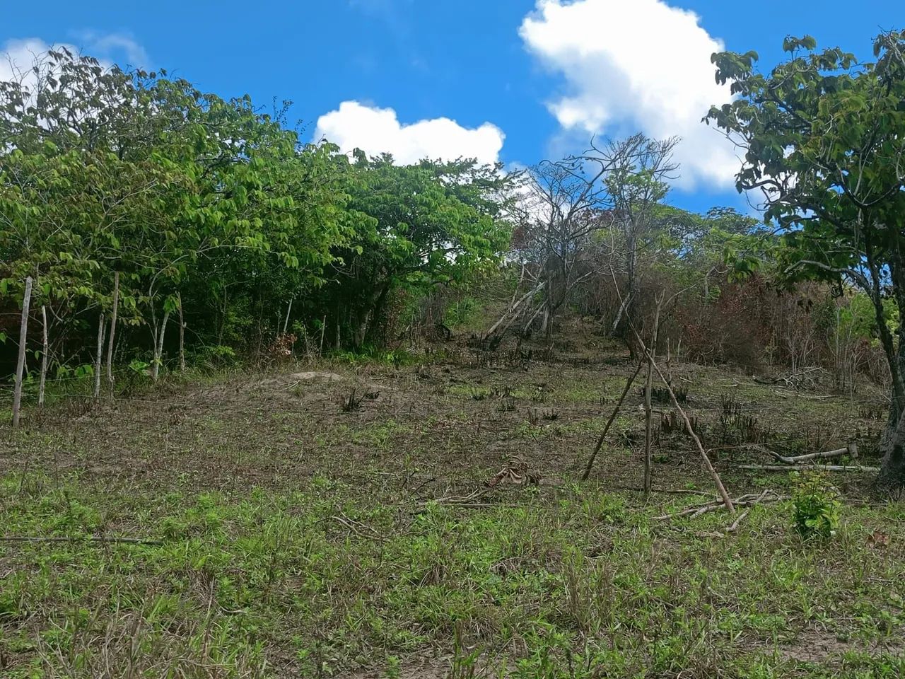 Vendo terrenos perto de Santo amaro perto do povoado aldeias  - Foto 4