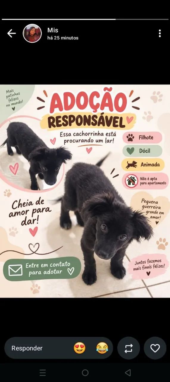 Adoção responsável 
