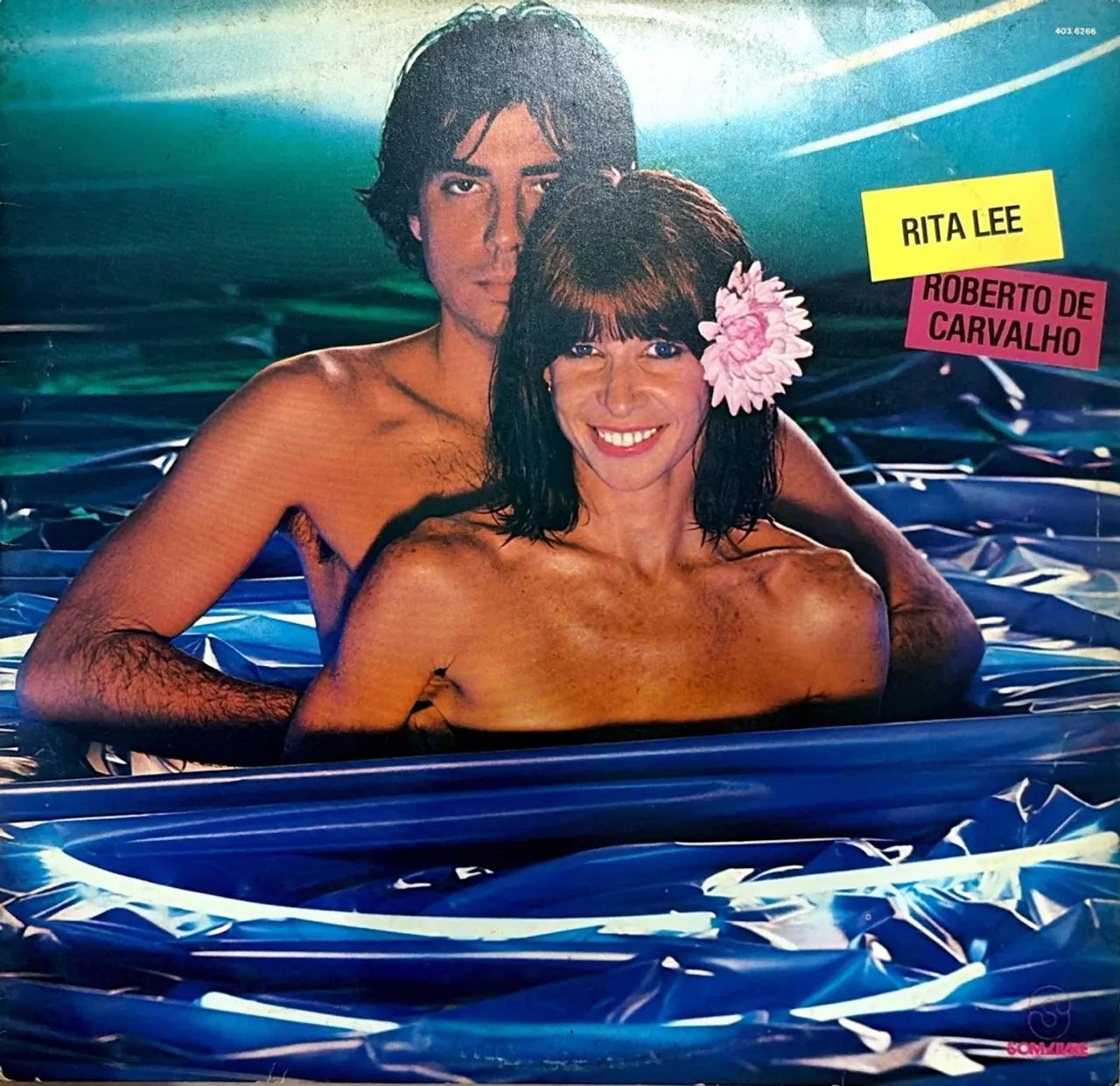 Disco de vinil - Para colecionadores exigentes 