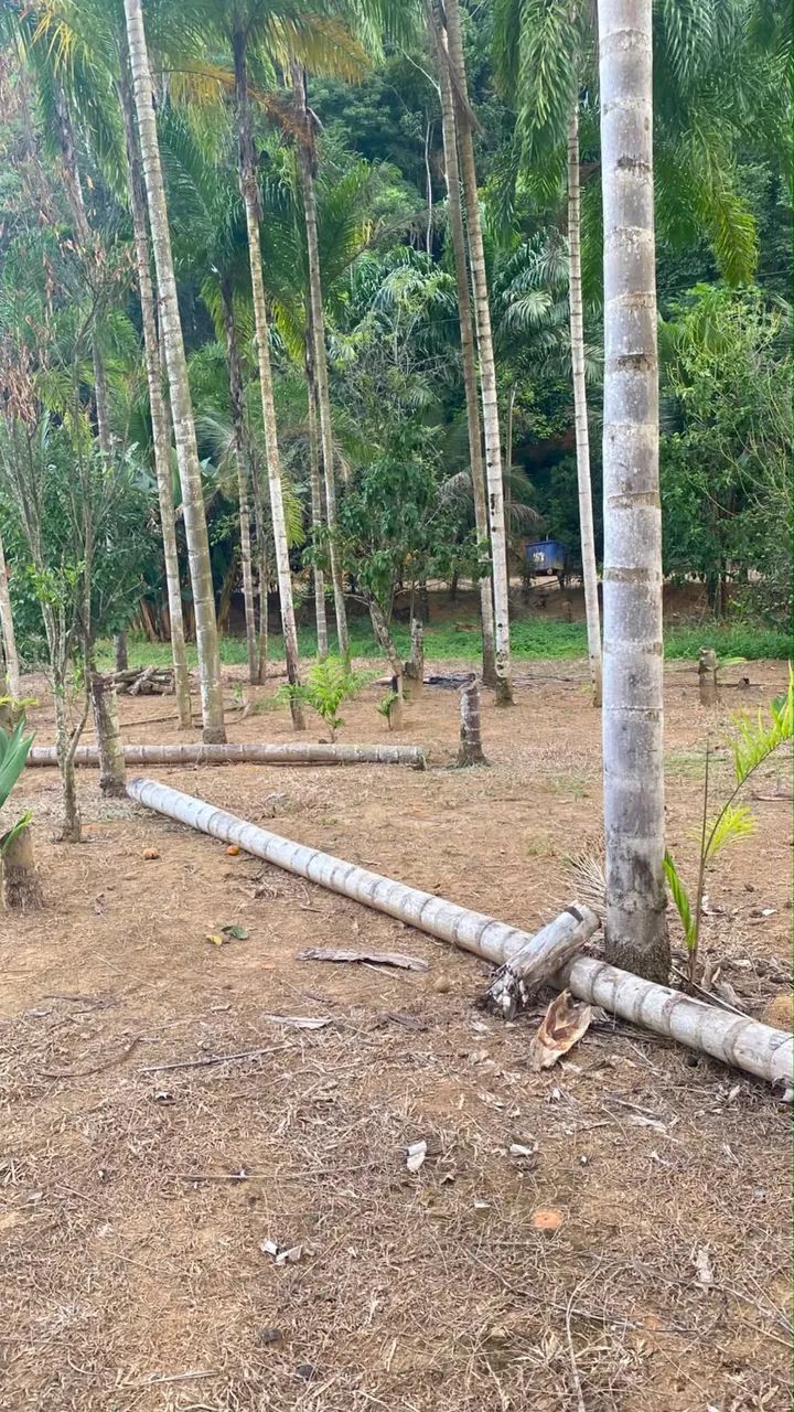 Terreno com acesso ao rio jucu  - Foto 3