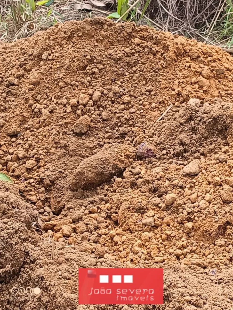Fazenda para Venda em Santa Rita do Tocantins - Foto 4