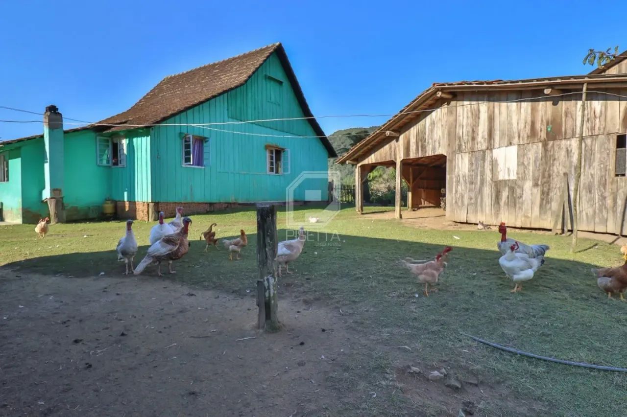 Sítio em Benedito Novo - Foto 3