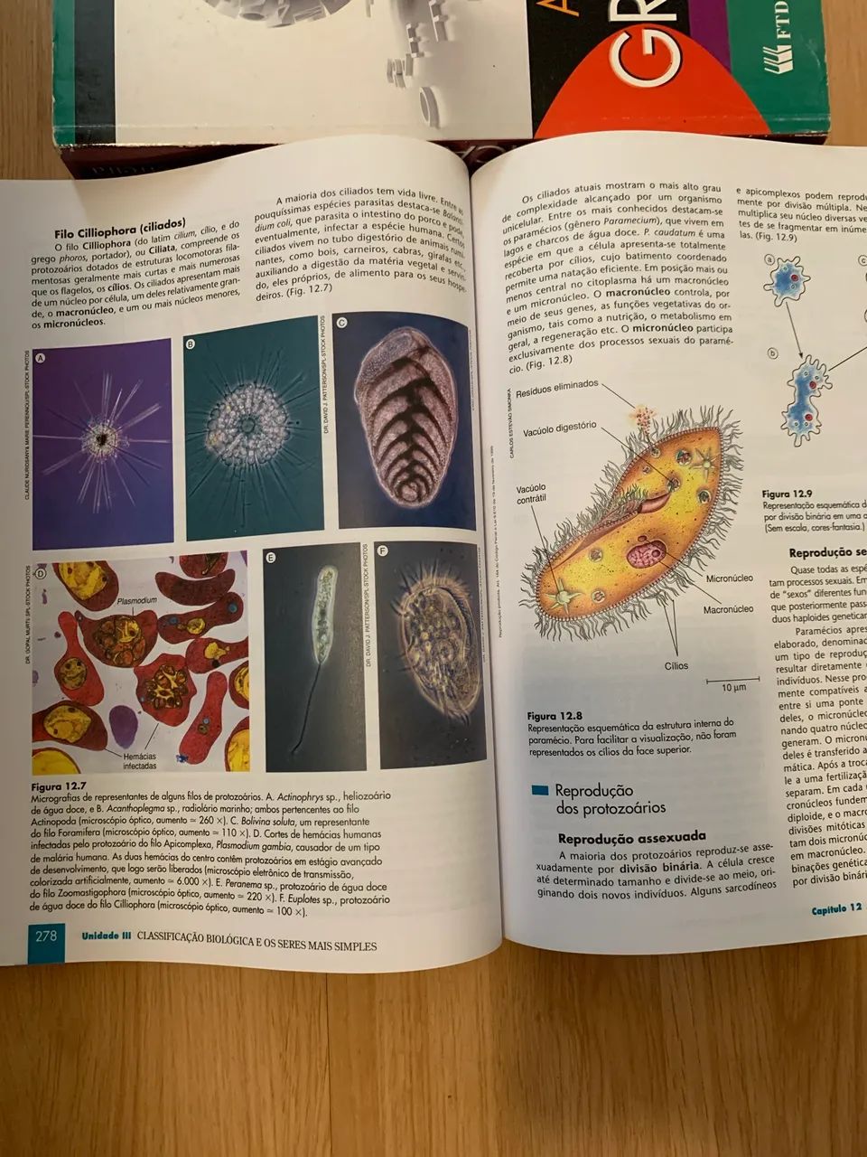 Fundamentos da Biologia Moderna | Amabis e Martho | Volume Único + CD - Foto 4