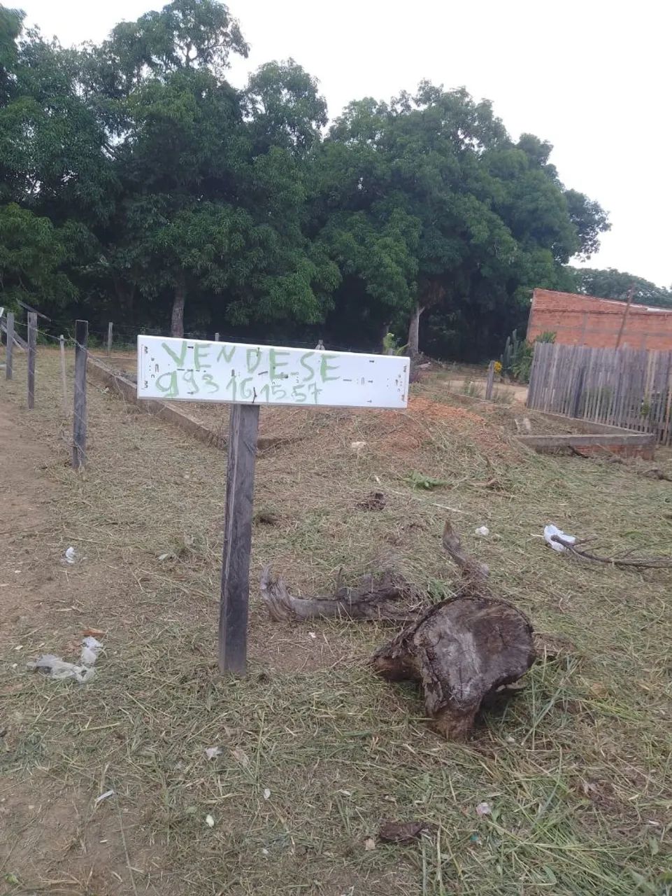 Terreno 