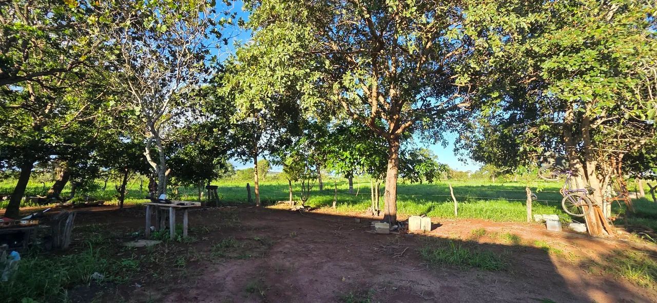 Lindo Sítio no município de Baliza-GO - Foto 2