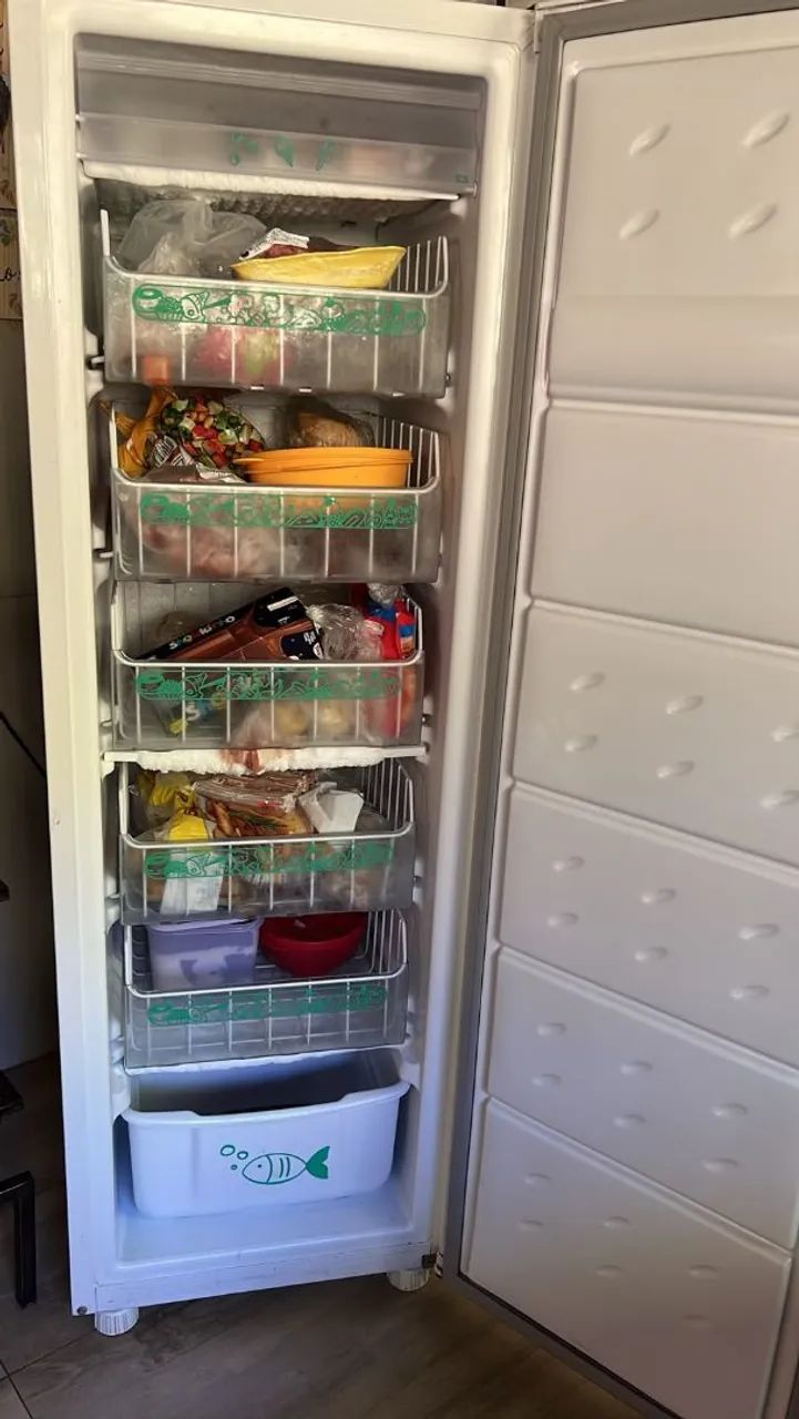 Venda de Freezer 