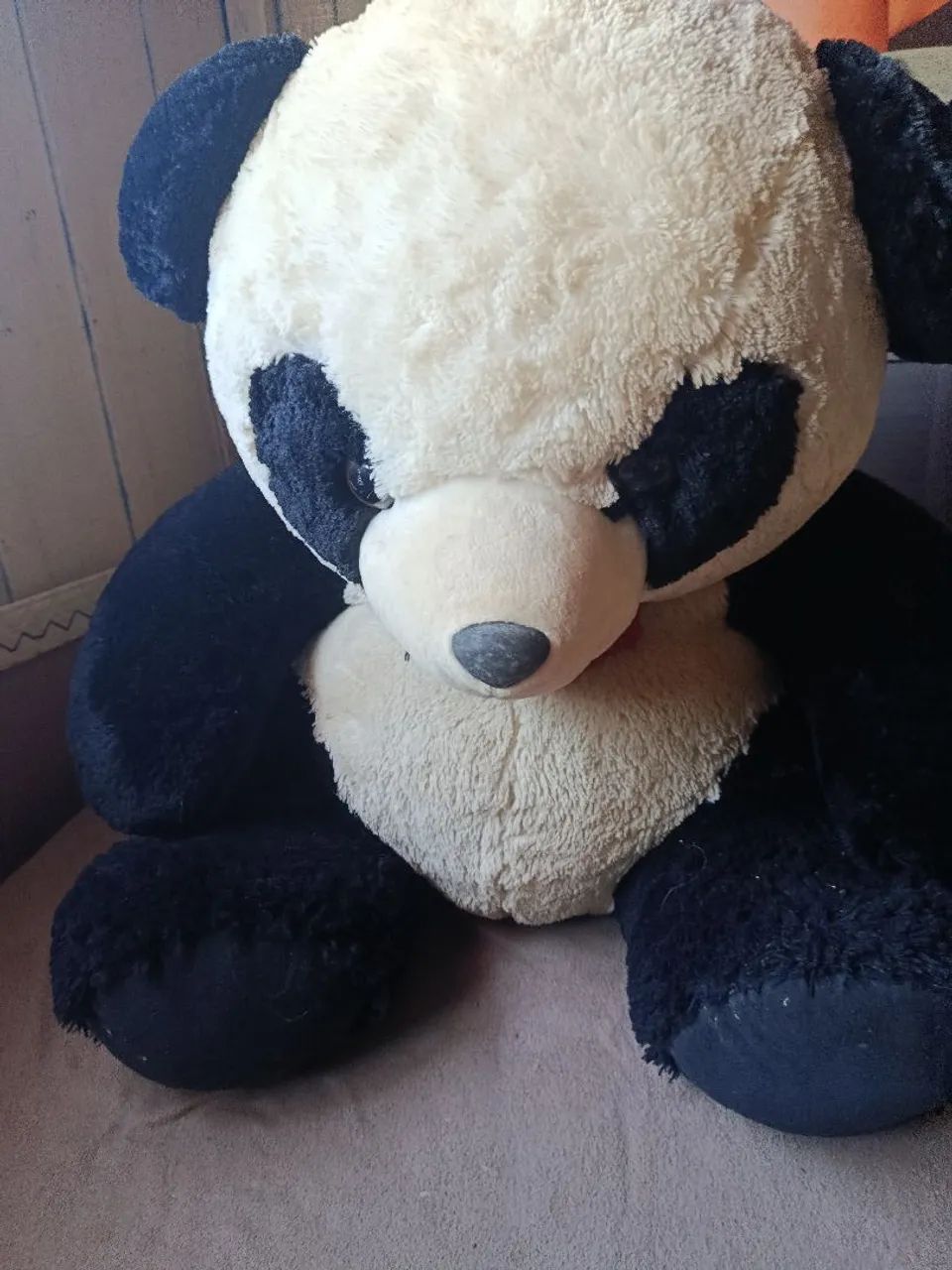 Urso panda 