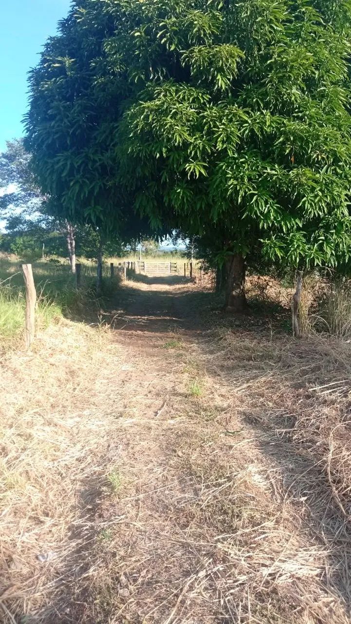 Chácara para morar e/ou lazer - Foto 4