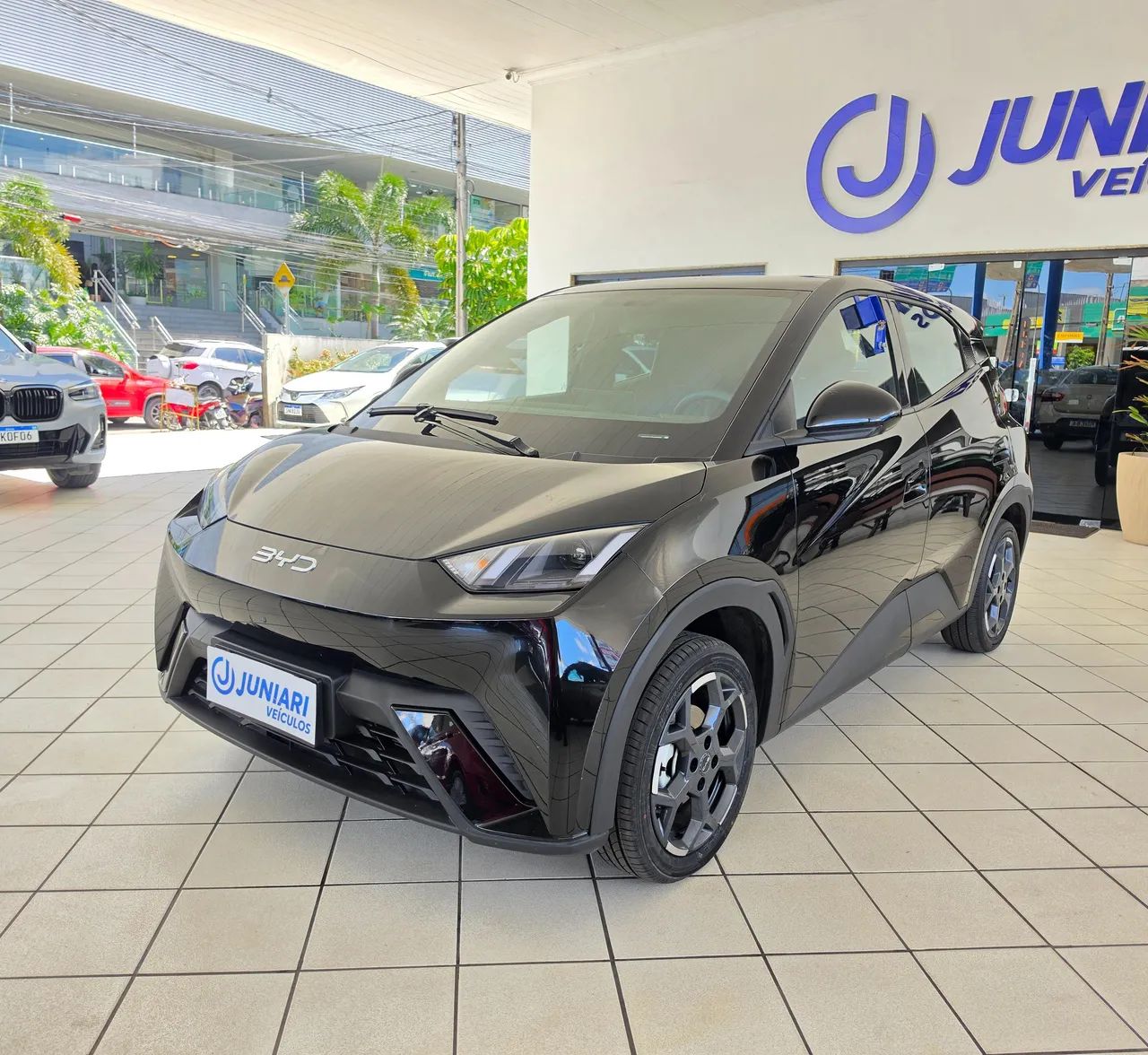 BYD Dolphin GS (Elétrico) 2027 - Foto 4