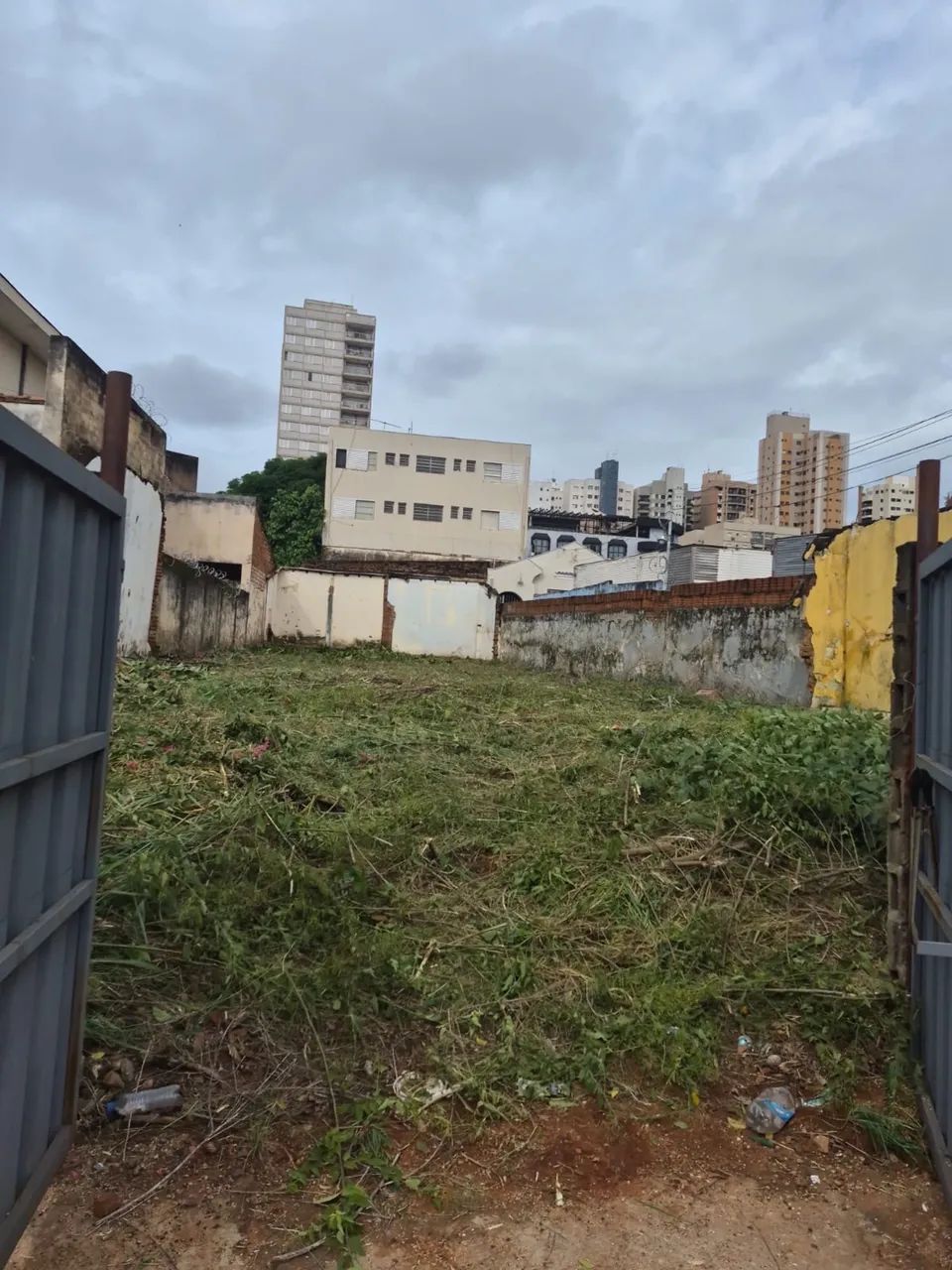 Foto - Ribeirão Preto - Centro
